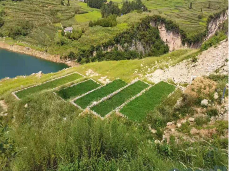 雙橋水庫集中式飲用水水源地二級(jí)保護(hù)區(qū)生活污水收集治理項(xiàng)目